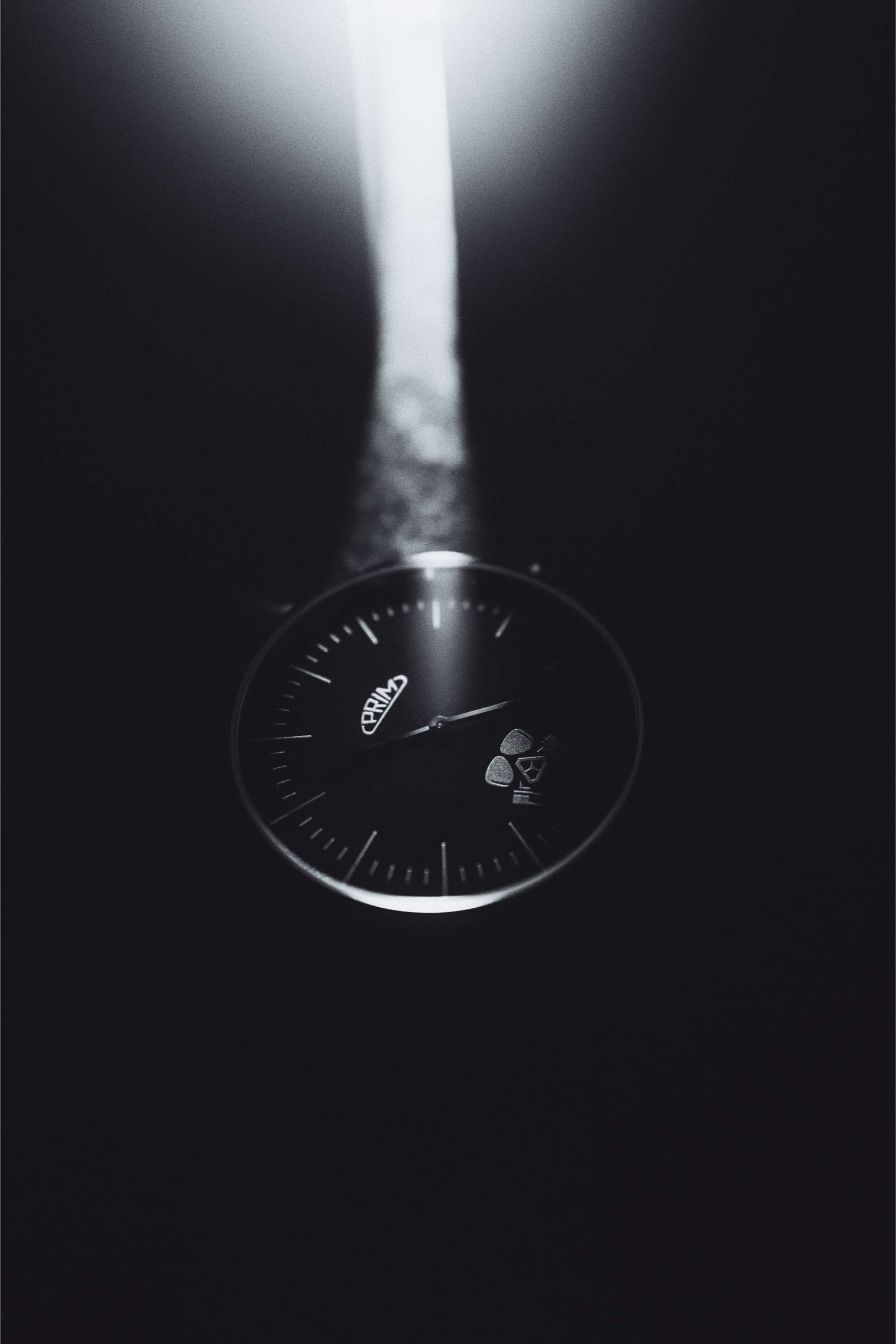 AGRAELUS × PRIM — agraelus_prim_00008